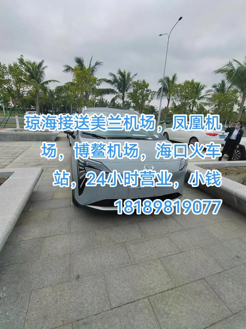 本公司主营旅游包车,机场接送,租车等业务.24小时服务热线